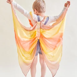 Desert Fairy Wings