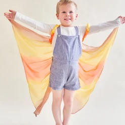 Desert Fairy Wings