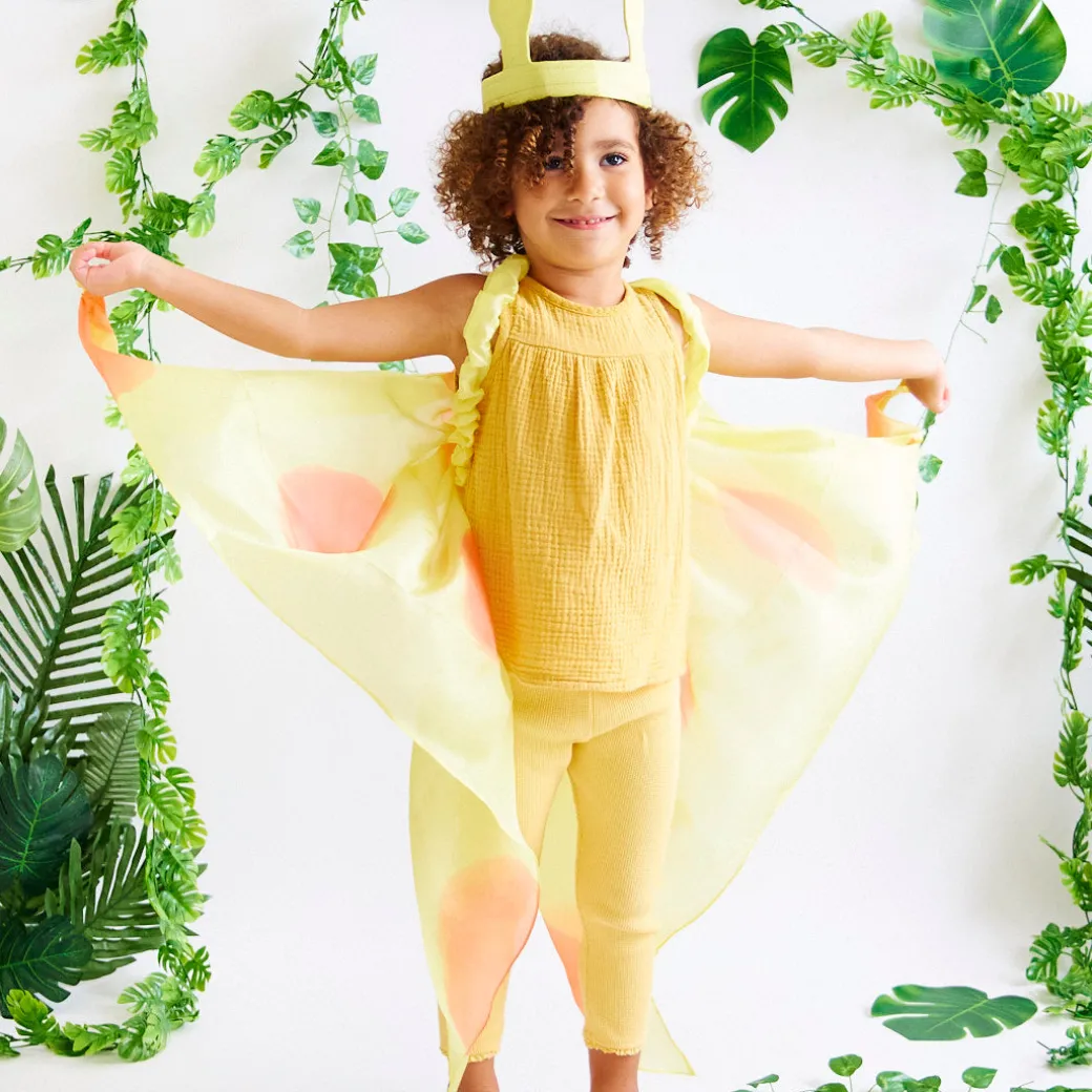 Yellow Butterfly Wings